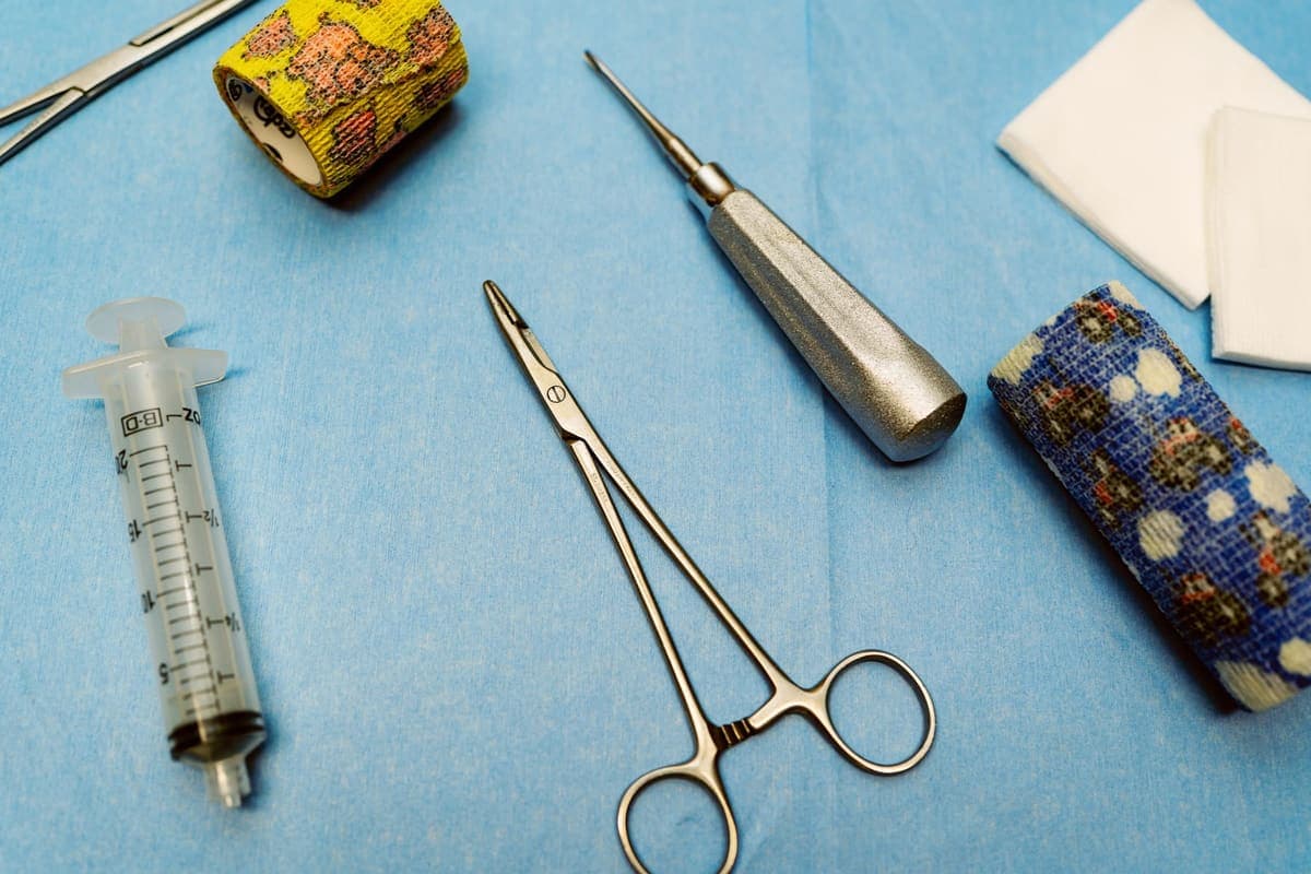 In-House Lab Work & Testing at Roberts Small Animal Clinic
